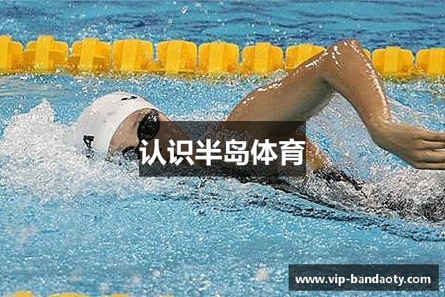 认识半岛体育
